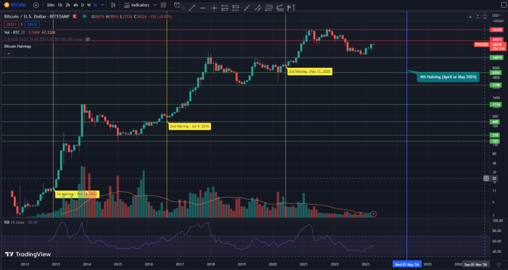 Bitcoin Price Chart Addressing the Will Crypto Recover Question