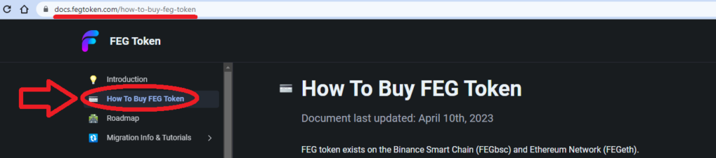 Illustrating How to Buy FEG Coins