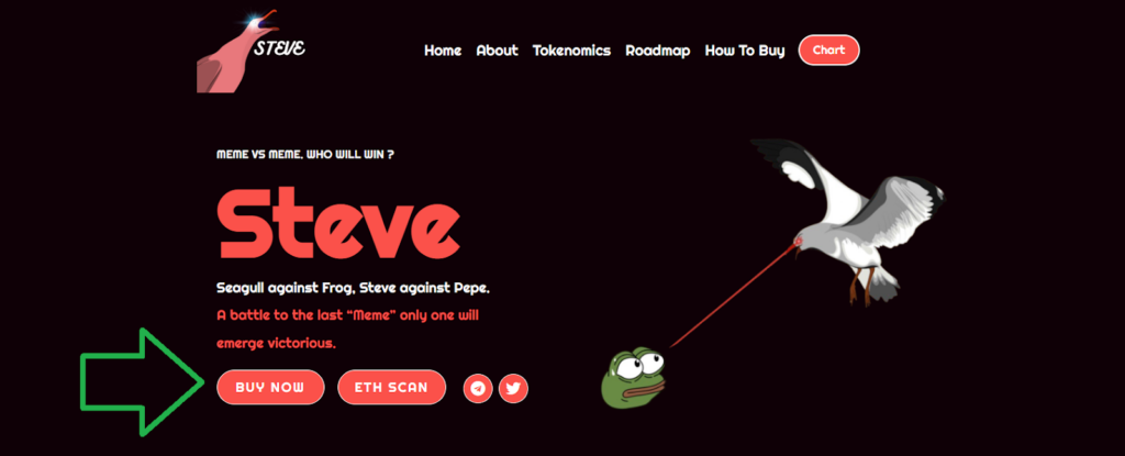 Steve Seagull Website On How to Buy STEVE Meme Coin