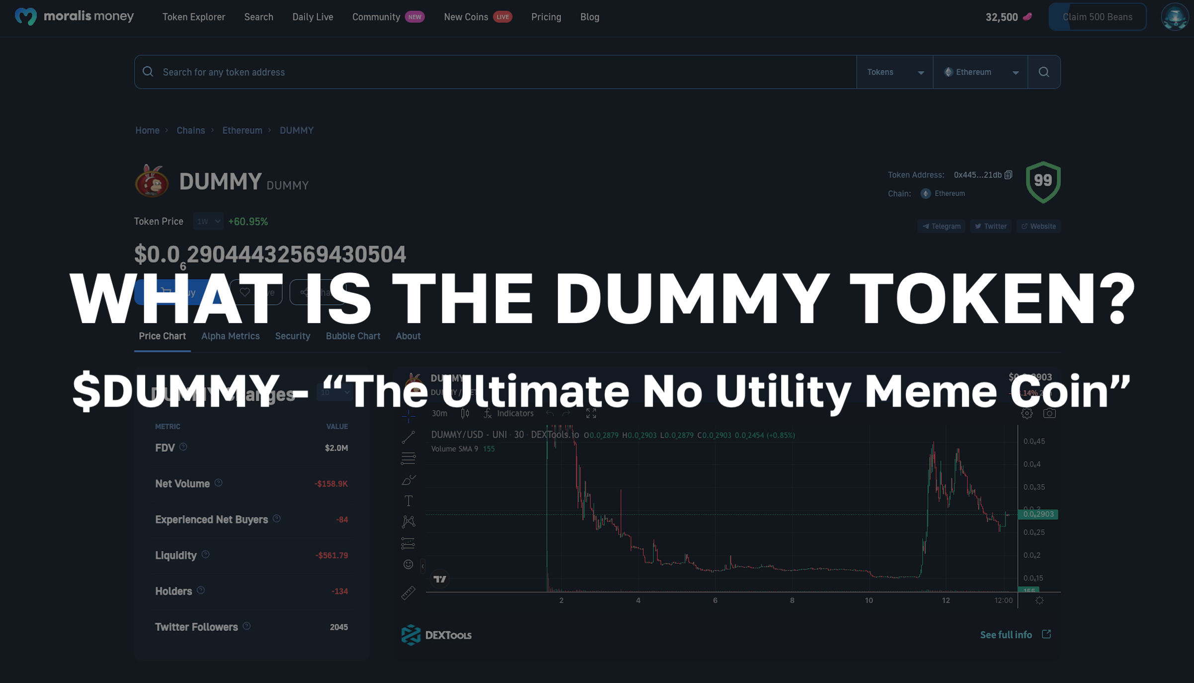 What is DUMMY Exploring the DUMMY Token The Ultimate No