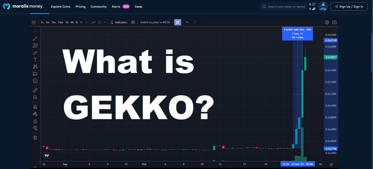 Gekko HQ Crypto Review and GEKKO Token Price Analysis-article