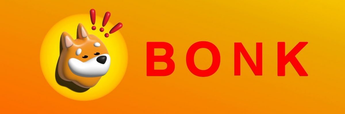 Is BONK a Good Investment BONK Coin Price Prediction & On-Chain Data-article