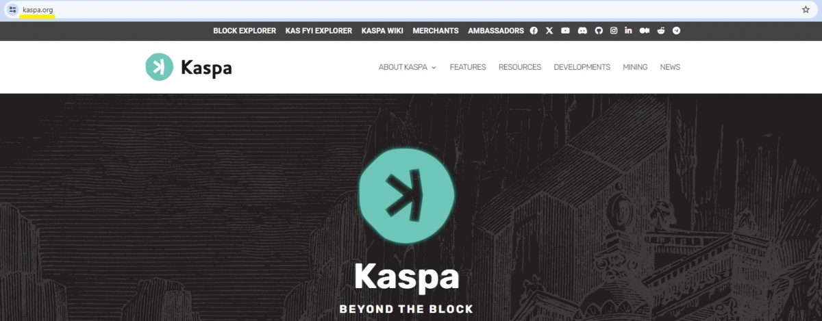 Kaspa official website