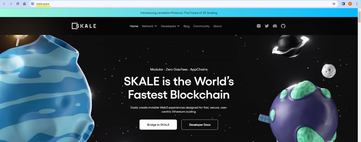 Is SKL Crypto A Good Investment SKALE Crypto On-Chain Data Price Prediction-project's official website